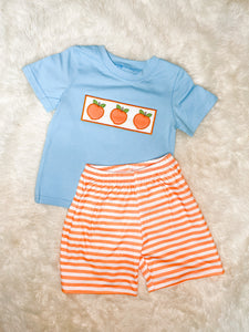 Boys Baby Blue Peach Embroidery Short Set